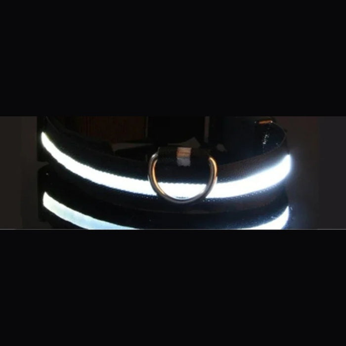 Black collar glowing white