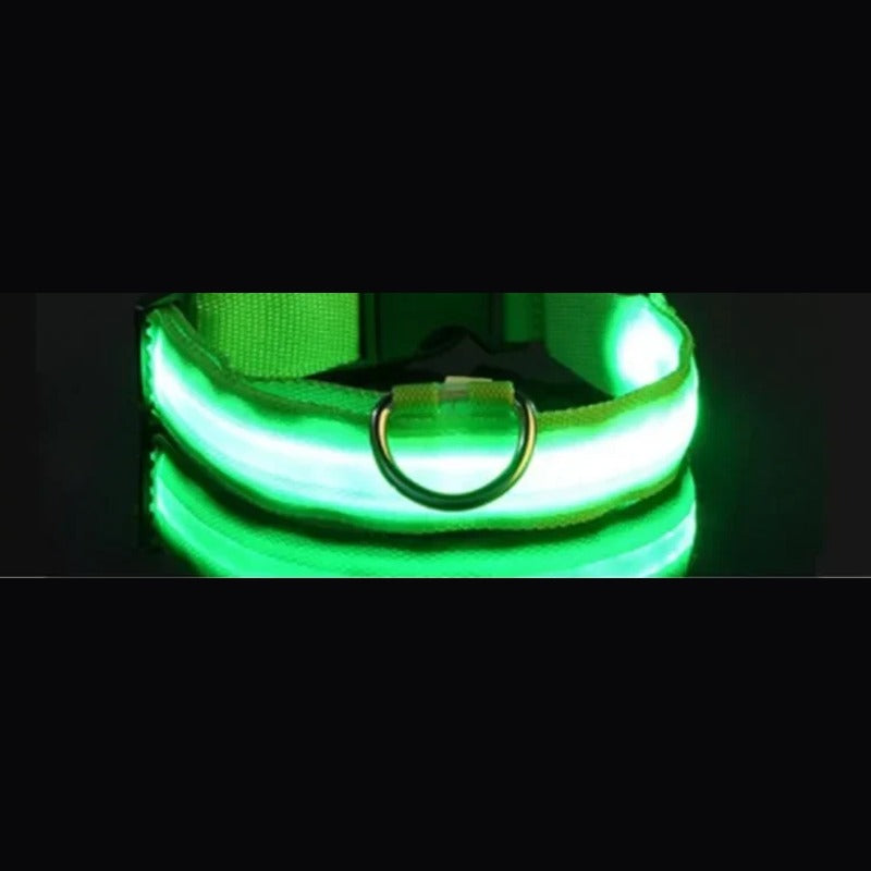 Green collar glowing green
