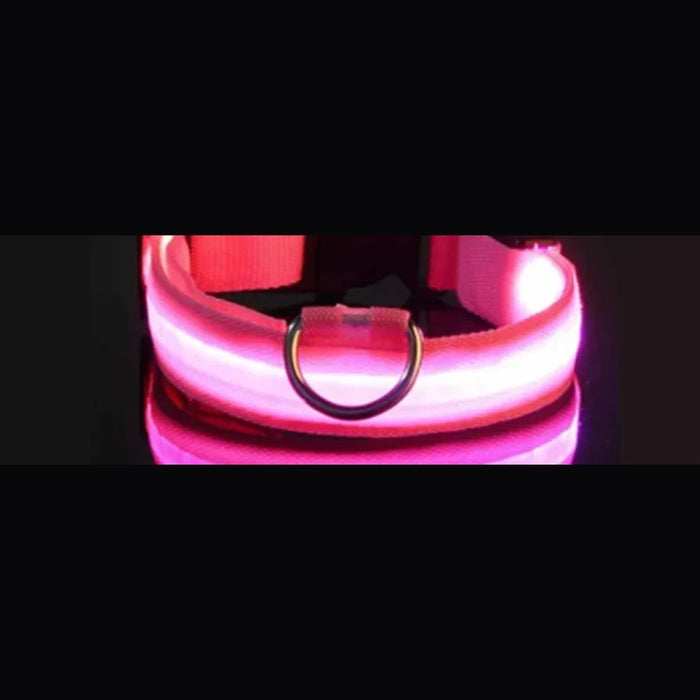 Pink collar glowing pink