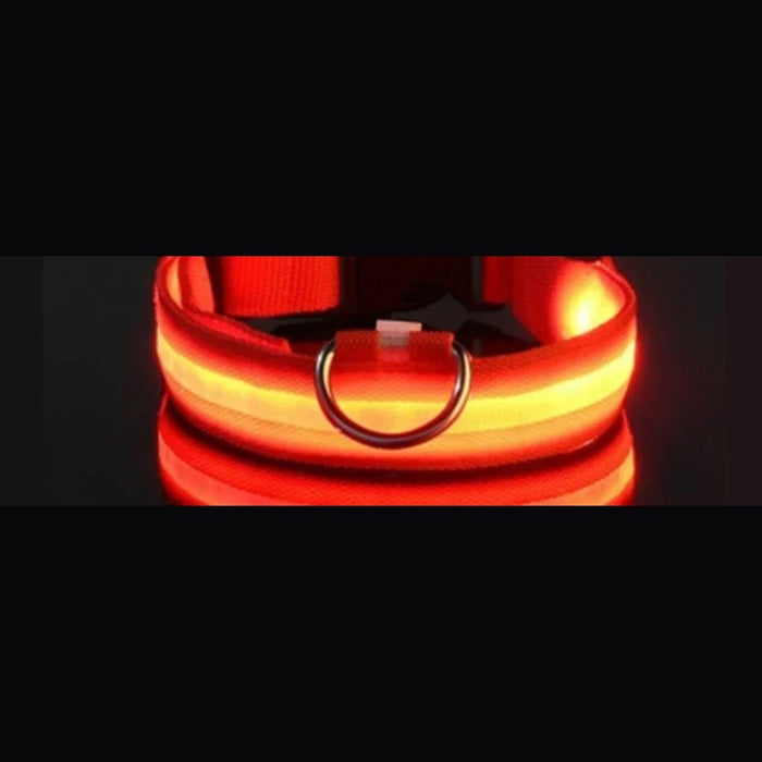 Red collar glowing red