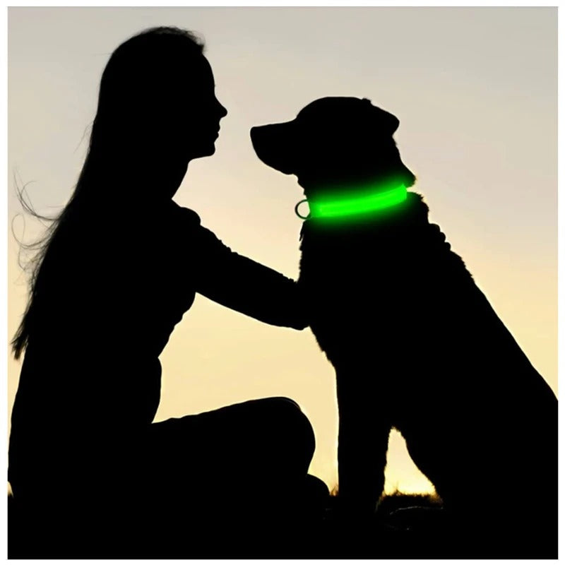 A dog and its owner at dusk, the collar glowing green